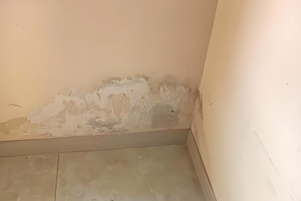 管道漏水检测仪